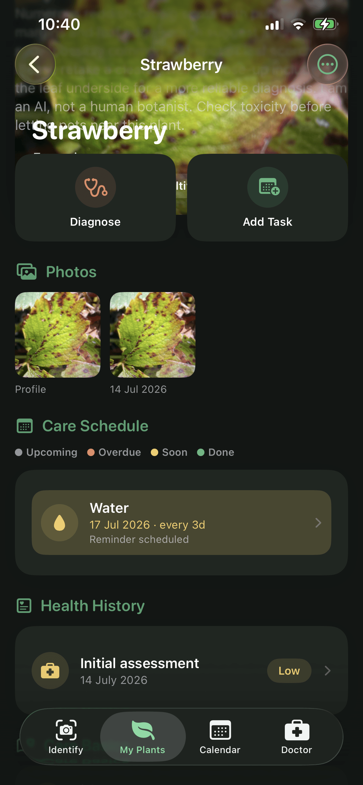 Saved plant profile with care schedule